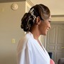 PONYTAIL /updo (extensions added)