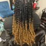 Passion Twists (S)