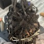 Root Touch Up