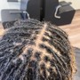 Insta locs start-up short hair