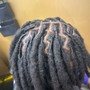 Starter locs