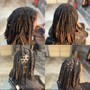 Starter Locs