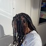 Starter Locs