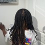 Starter Locs