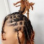 Starter Locs