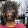 Feed-In Braids