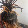 Starter Locs (kids age 6-12)