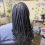 Medium Box Braids