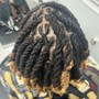 Loc Maintenance - Wash, Retwist and Curl