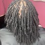 (Adult) Starter Locs 8in.- longer