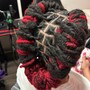 Micro Locs (Starter)