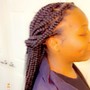 Kid's Braids with Extensions