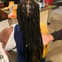 Large Box Braids/butt length