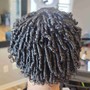 Flat Twists (no hair added)