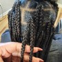 Tribal Braids w/ med-larg box braids in back