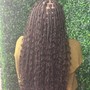 Box Braids (Traditional) Medium Midback