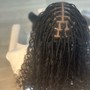 Kid's Box Braids/Twists (No Extension)