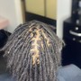 Root Touch Up