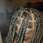 Medium Box Braids