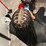 Bohemian Knotless Braids