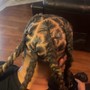 Starter locs (mid length).