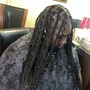 Starter locs (mid length).