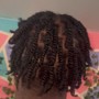 Afro Twists (any length)