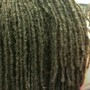 Loc Maintenance, Microlocs, Sisterlocs, 2strands