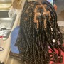 Starter Locs - two strand twist