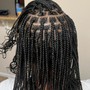 Men Box braids /starter locs