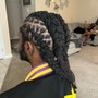 SMALL lemonade braids