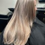 Partial Dimensional Highlight + Haircut