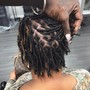 Starter Locs