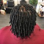 Starter Locs