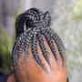 Feed in Ponytail Braids (Medium)