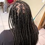 Medium Box Braids