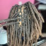 Starter Locs