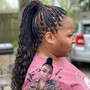 SMALL FEED IN PONYTAIL