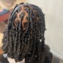 Starter Locs