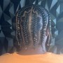 Feed In Braids (2)