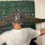 Butterfly locs