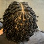 Comb Twist