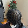 Starter Locs