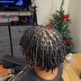 Starter Locs