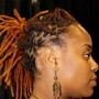 Palm Roll/ Retwist w/ Styling