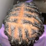 Flat Twists w/ Added hair