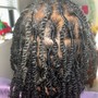 Flat Twists w/ Added hair