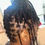 Loc Repair (add on service for natural locs)