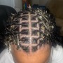 Starter Locs