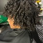 Microlocs Root touch up